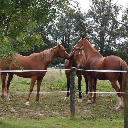 Ferme Passion 3*