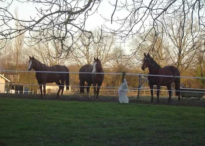 Bed & Breakfast Ferme Passion Saint-Trivier-sur-Moignans
