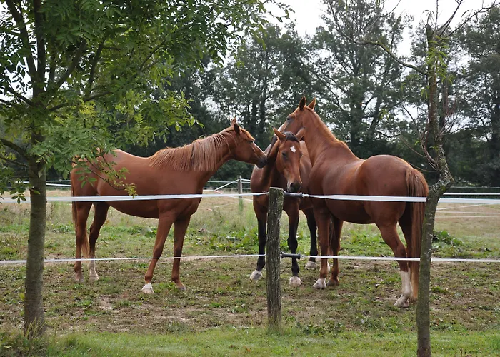 Ferme Passion 3*